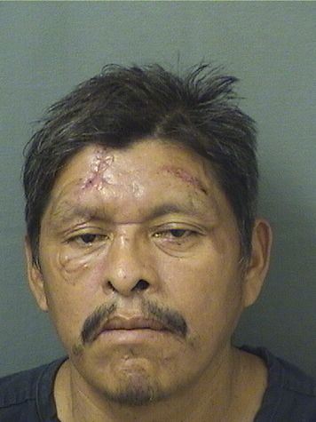  MARIO SANTOSHERNANDEZ Results from Palm Beach County Florida for  MARIO SANTOSHERNANDEZ