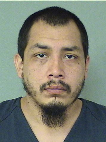  DAVID LOPEZ Resultados de la busqueda para Palm Beach County Florida para  DAVID LOPEZ