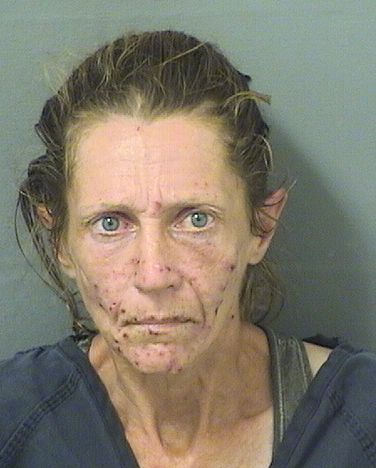  JENNIFER ROSE CHAPLIN Resultados de la busqueda para Palm Beach County Florida para  JENNIFER ROSE CHAPLIN