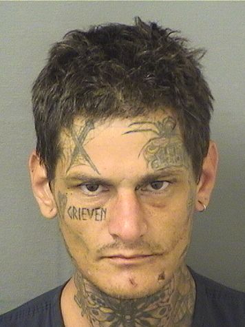  DILLON RAY KATZ Resultados de la busqueda para Palm Beach County Florida para  DILLON RAY KATZ