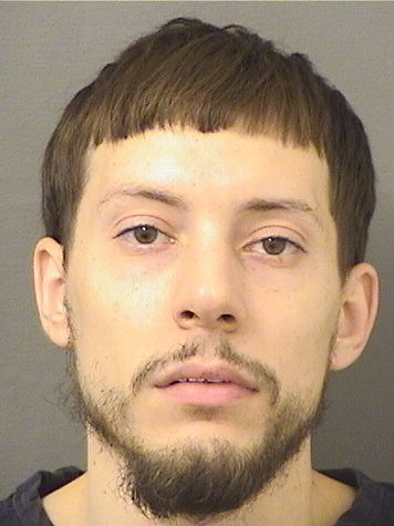  KRISZTIAN LANTOS Resultados de la busqueda para Palm Beach County Florida para  KRISZTIAN LANTOS