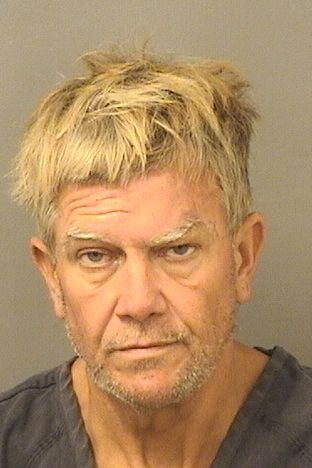  MICHAEL JOHN DELAAR Results from Palm Beach County Florida for  MICHAEL JOHN DELAAR