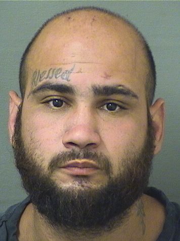  MARK ANTHONY AFANADOR Resultados de la busqueda para Palm Beach County Florida para  MARK ANTHONY AFANADOR