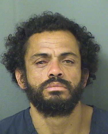  LUIS M QUIROZESTRADA Resultados de la busqueda para Palm Beach County Florida para  LUIS M QUIROZESTRADA