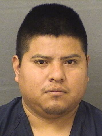  ISAIAS GILBERTO CHAVEZCHAVEZ Resultados de la busqueda para Palm Beach County Florida para  ISAIAS GILBERTO CHAVEZCHAVEZ