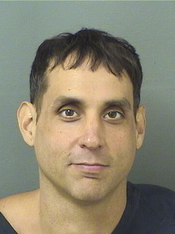  AARON WILLIAM DEUTSCH Results from Palm Beach County Florida for  AARON WILLIAM DEUTSCH