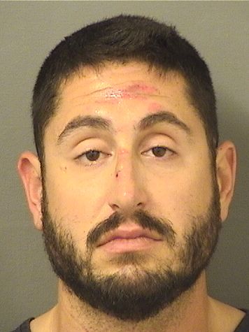  ANTHONY VITO LOFFREFO Resultados de la busqueda para Palm Beach County Florida para  ANTHONY VITO LOFFREFO