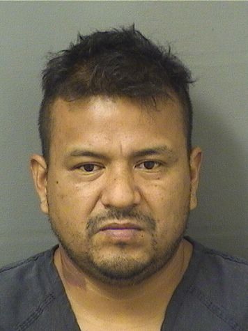  JOSE PABLO HERNANDEZCORTEZ Results from Palm Beach County Florida for  JOSE PABLO HERNANDEZCORTEZ