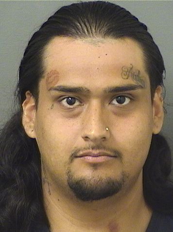  ROBERTO DIAZ ANDRADE Results from Palm Beach County Florida for  ROBERTO DIAZ ANDRADE