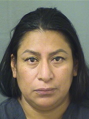  DAMARIS M VASQUEZXEC Resultados de la busqueda para Palm Beach County Florida para  DAMARIS M VASQUEZXEC