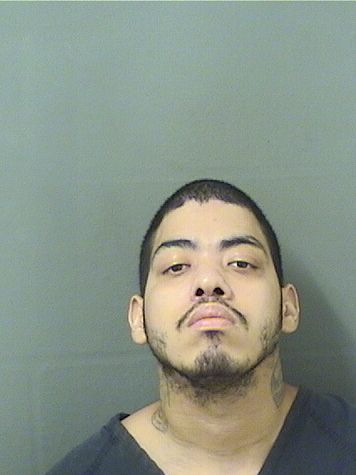  JOSE LUIS ARIZMENDI Resultados de la busqueda para Palm Beach County Florida para  JOSE LUIS ARIZMENDI