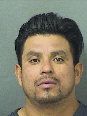  GABRIEL ARNOLDO ROSSILVESTRE Resultados de la busqueda para Palm Beach County Florida para  GABRIEL ARNOLDO ROSSILVESTRE