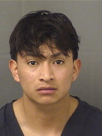  GABINO M DOMINGOMANUEL Results from Palm Beach County Florida for  GABINO M DOMINGOMANUEL