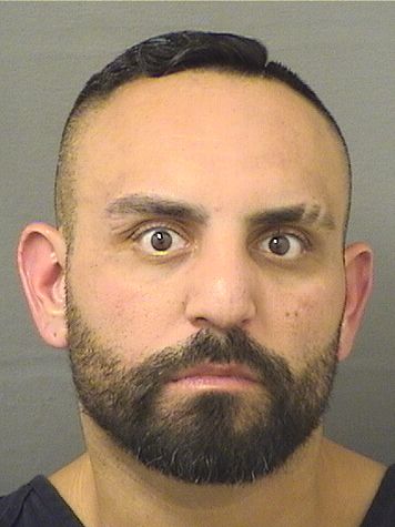  ANTHONY J CONSOLE Results from Palm Beach County Florida for  ANTHONY J CONSOLE