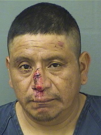  LUIS LOPEZ MORALEZ Resultados de la busqueda para Palm Beach County Florida para  LUIS LOPEZ MORALEZ