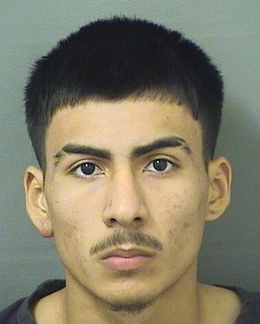  ELVER CABRERAMALDONADO Resultados de la busqueda para Palm Beach County Florida para  ELVER CABRERAMALDONADO