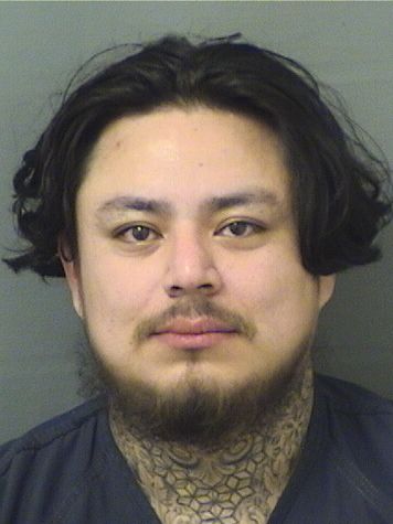  JORGE BRAULIO HERNANDEZGARCIA Resultados de la busqueda para Palm Beach County Florida para  JORGE BRAULIO HERNANDEZGARCIA