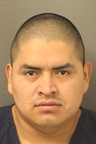  FRANCISCO ALFONSO PEREZVELASCO Results from Palm Beach County Florida for  FRANCISCO ALFONSO PEREZVELASCO