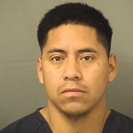  ANTONIO OXLAJPASTOR Resultados de la busqueda para Palm Beach County Florida para  ANTONIO OXLAJPASTOR