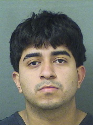  ERLAN JOHN OCHOAAGUILAR Results from Palm Beach County Florida for  ERLAN JOHN OCHOAAGUILAR