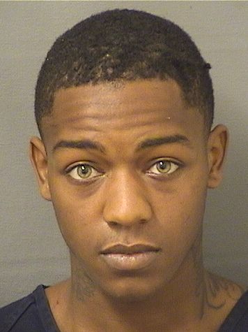  TRAMONTE TERRELL GIBSON Resultados de la busqueda para Palm Beach County Florida para  TRAMONTE TERRELL GIBSON