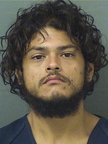  DAVID CORADO Resultados de la busqueda para Palm Beach County Florida para  DAVID CORADO