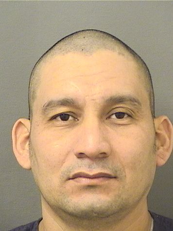  DANNER ALFREDO FIGUEROAPADILLA Resultados de la busqueda para Palm Beach County Florida para  DANNER ALFREDO FIGUEROAPADILLA