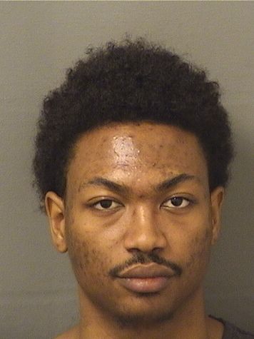  NOAH WILLIAMMCKENZIE Photo