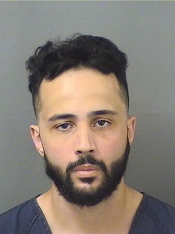  ARASH RAFFATY JAVIDAN Results from Palm Beach County Florida for  ARASH RAFFATY JAVIDAN