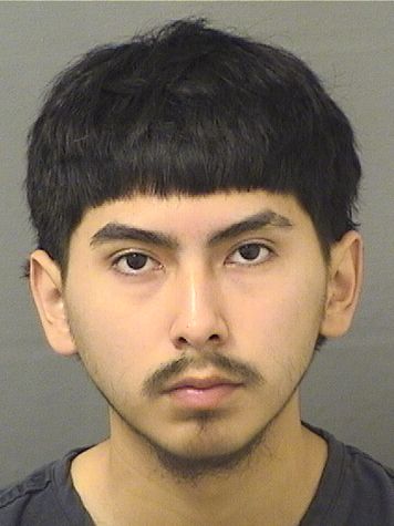  JUNIOR FABIAN MAYOCASTILLO Resultados de la busqueda para Palm Beach County Florida para  JUNIOR FABIAN MAYOCASTILLO