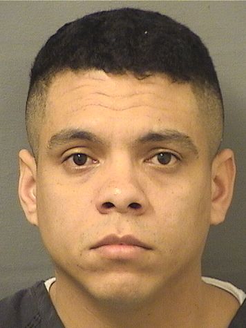  DERMISON DAVID DIAZLANDAETA Resultados de la busqueda para Palm Beach County Florida para  DERMISON DAVID DIAZLANDAETA