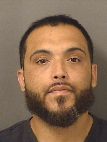  CHRISTOPHER DAVID ALBANESE Resultados de la busqueda para Palm Beach County Florida para  CHRISTOPHER DAVID ALBANESE