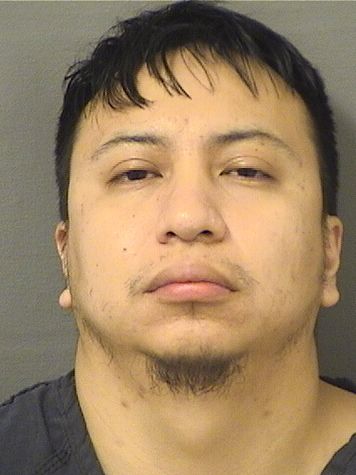  ANDRES SAGUINO PEREZ Resultados de la busqueda para Palm Beach County Florida para  ANDRES SAGUINO PEREZ