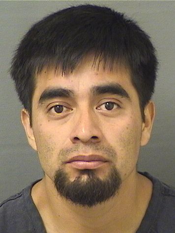  SEBASTIAN AGUSTIN GARCIAGARCIA Resultados de la busqueda para Palm Beach County Florida para  SEBASTIAN AGUSTIN GARCIAGARCIA