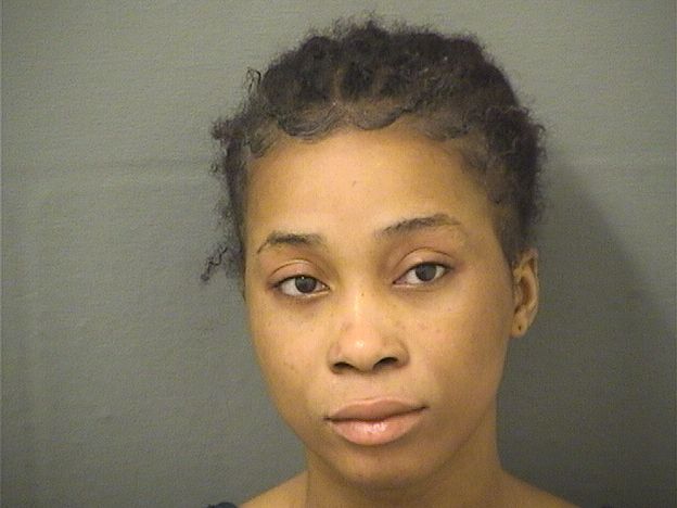  DAPHCA DATILUS Results from Palm Beach County Florida for  DAPHCA DATILUS