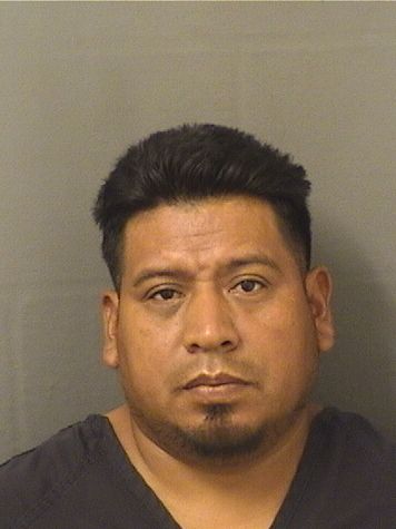  FELIPE GABRIELPEREZ Results from Palm Beach County Florida for  FELIPE GABRIELPEREZ