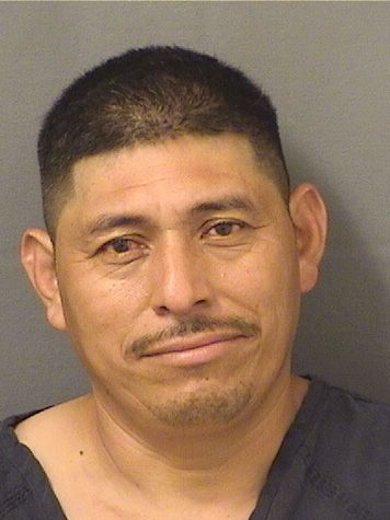  OSCAR MANZANARESMEJIA Resultados de la busqueda para Palm Beach County Florida para  OSCAR MANZANARESMEJIA