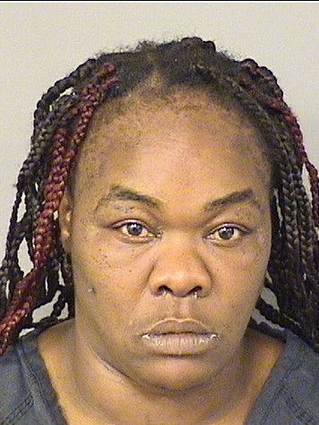  MICHELLE SANCHEZ Results from Palm Beach County Florida for  MICHELLE SANCHEZ