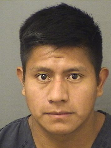  WILSON EVARSITO CINTOBAMACA Resultados de la busqueda para Palm Beach County Florida para  WILSON EVARSITO CINTOBAMACA