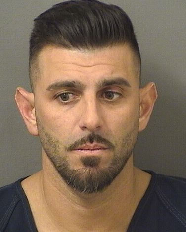  DANIEL LOUISA Results from Palm Beach County Florida for  DANIEL LOUISA