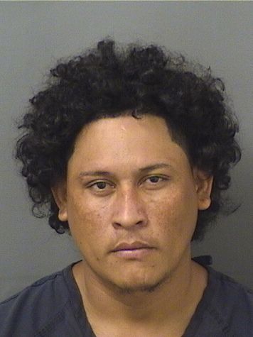  ERIN GEOVANY ANTUNEZ CRUZ Resultados de la busqueda para Palm Beach County Florida para  ERIN GEOVANY ANTUNEZ CRUZ