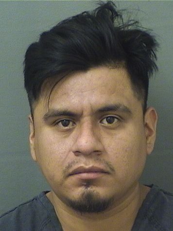  MARCOS ANTONIO CARROGUZMAN Resultados de la busqueda para Palm Beach County Florida para  MARCOS ANTONIO CARROGUZMAN