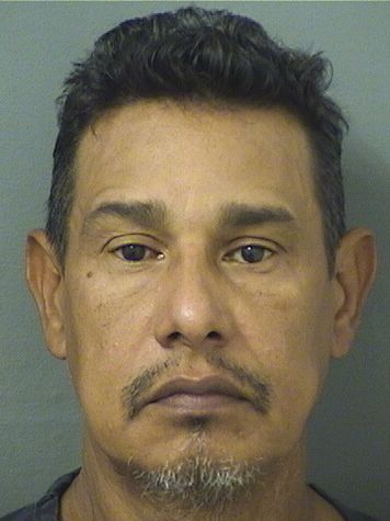  TOMAS MOTACESE Photo