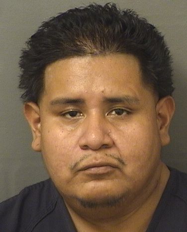  BASILIO ALEXANDER FELIPE Resultados de la busqueda para Palm Beach County Florida para  BASILIO ALEXANDER FELIPE