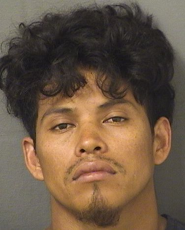  WALTER JOEL ALMANDAREZDIAZ Resultados de la busqueda para Palm Beach County Florida para  WALTER JOEL ALMANDAREZDIAZ