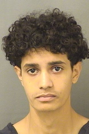  PEDRO HENRIQUE DAMAOLIVEIRA Results from Palm Beach County Florida for  PEDRO HENRIQUE DAMAOLIVEIRA