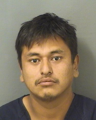  GUSTAVO A HERNANDEZZEPEDA Resultados de la busqueda para Palm Beach County Florida para  GUSTAVO A HERNANDEZZEPEDA