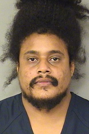  WILBERT JOSUE LUJAN Results from Palm Beach County Florida for  WILBERT JOSUE LUJAN