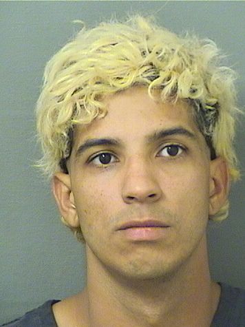  ELISAUL MENDEZCARVALLO Results from Palm Beach County Florida for  ELISAUL MENDEZCARVALLO