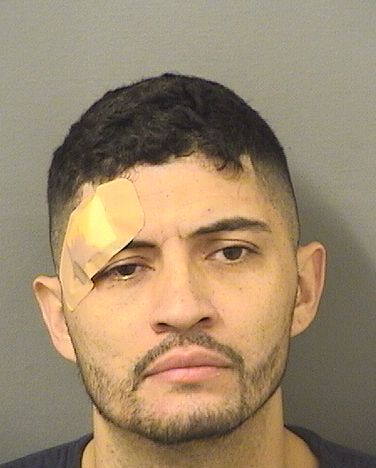  OSCAR IVAN PEREZSALCEDO Resultados de la busqueda para Palm Beach County Florida para  OSCAR IVAN PEREZSALCEDO